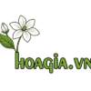 hoagia.vn, thế giới hoa giả, siêu thị hoa giả, hoa giả