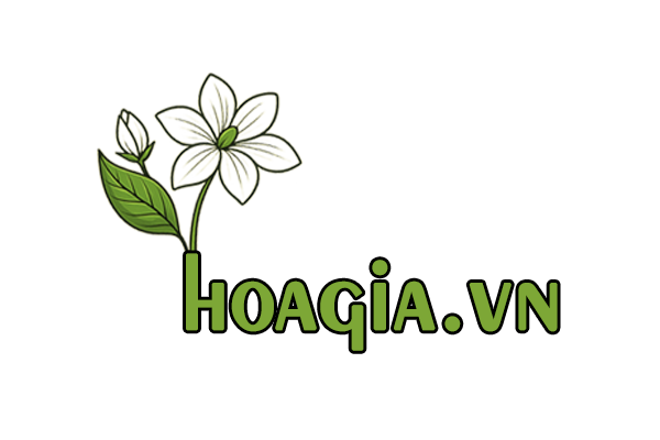 hoagia.vn, thế giới hoa giả, siêu thị hoa giả, hoa giả